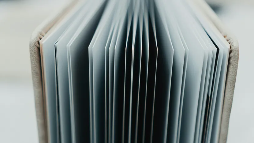 The pages of a thick bound album fanned open, seen end on in soft light.
